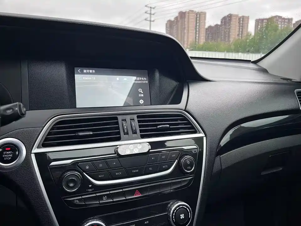 Leopaard Cheetah CS10