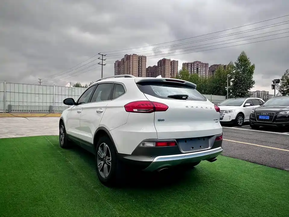 Leopaard Cheetah CS10