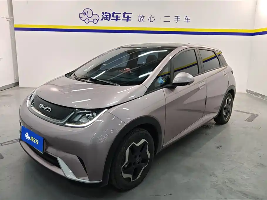 BYD dolphin