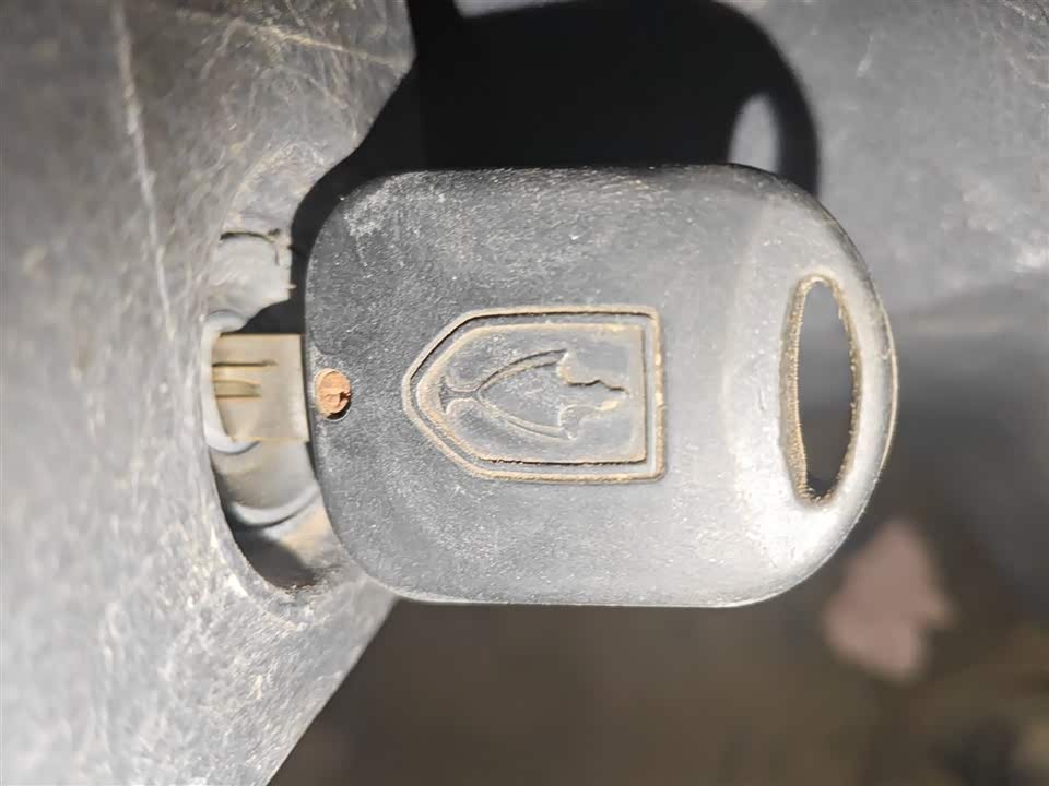 Jinbei Little Sea Lion X30