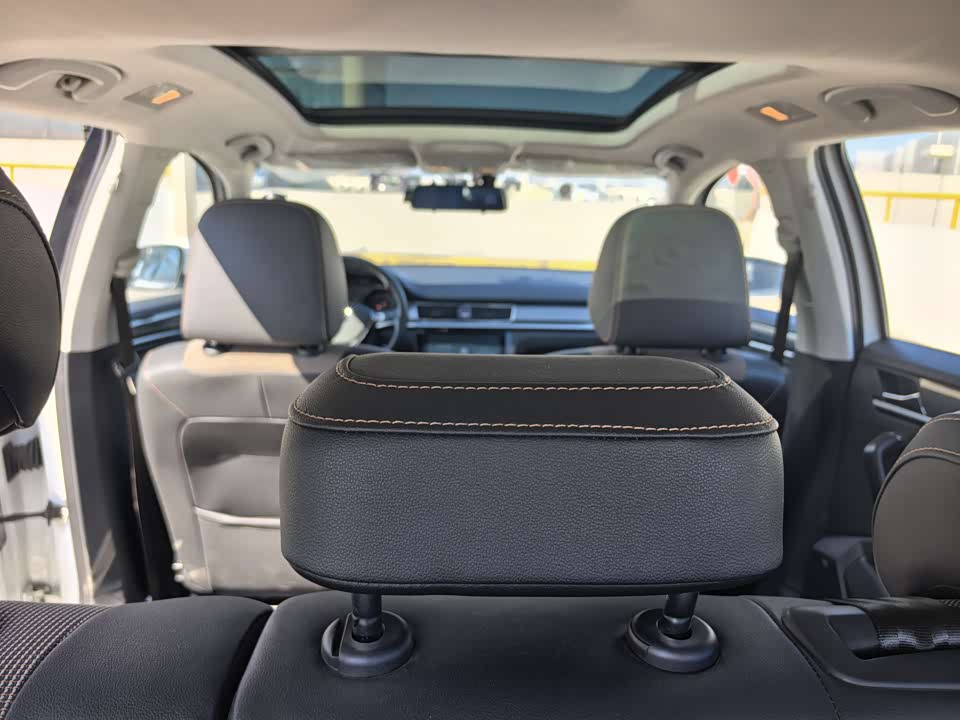 Volkswagen C-TREK Wei Collar