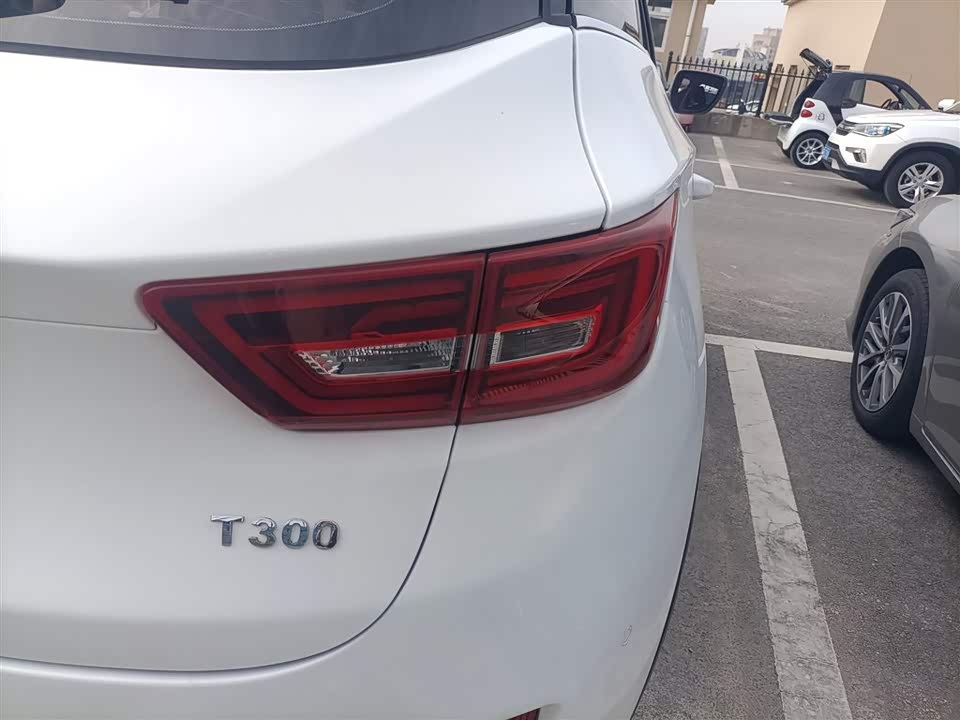 Zotye T300