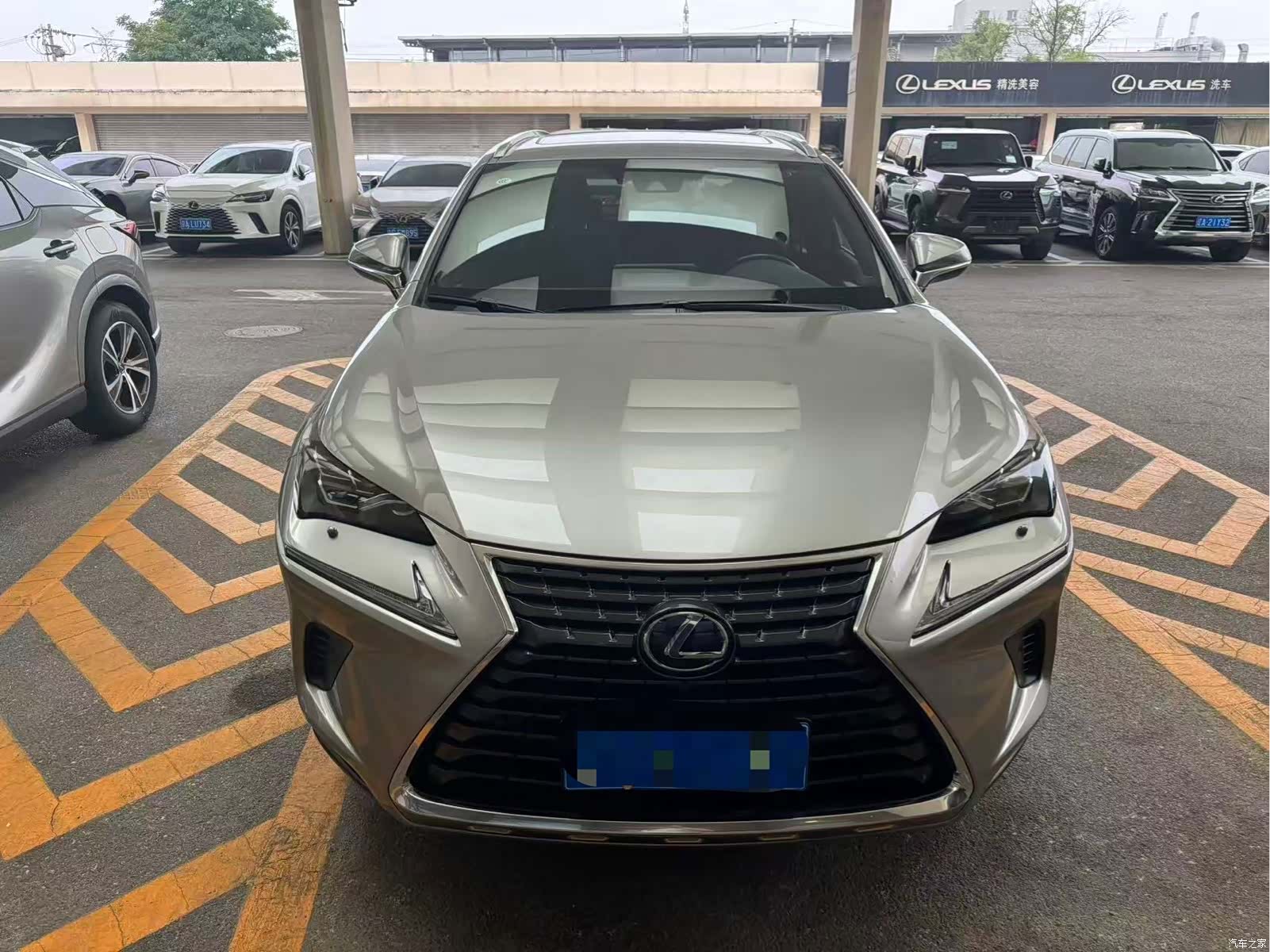 Lexus NX, 2021 2