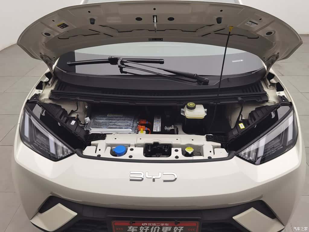 BYD Seagull, 2024 6