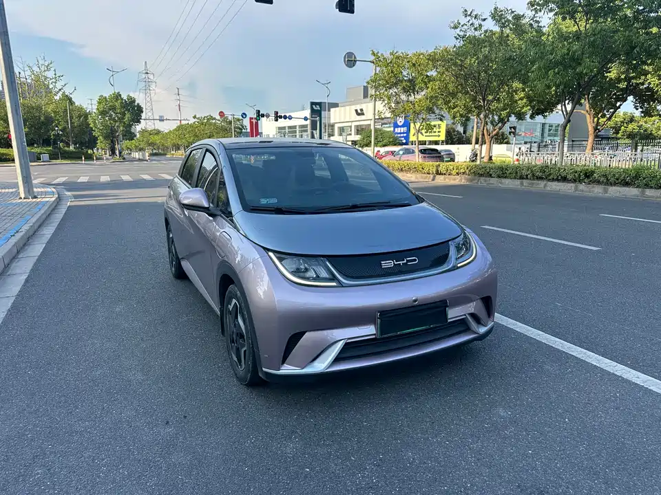 BYD dolphin