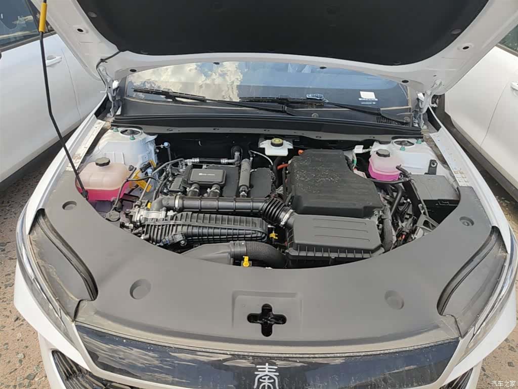 BYD Qin, 2026 20