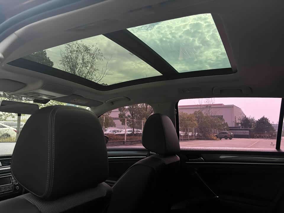 Volkswagen C-TREK Wei Collar