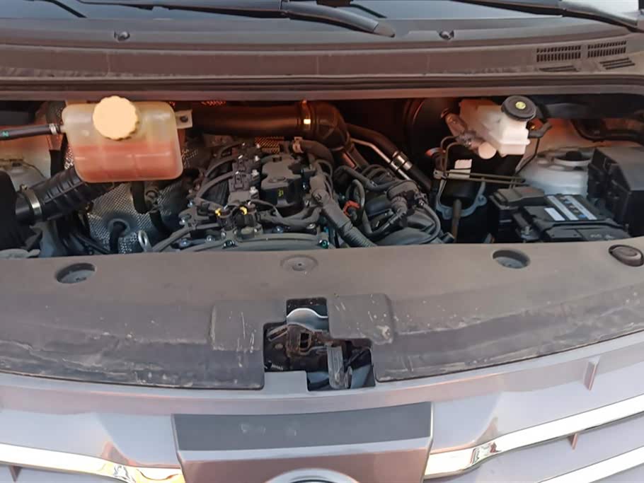 Forthing Lingzhi PLUS