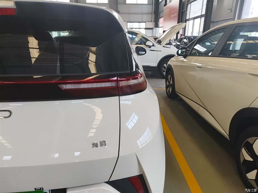 BYD Seagull, 2026 8