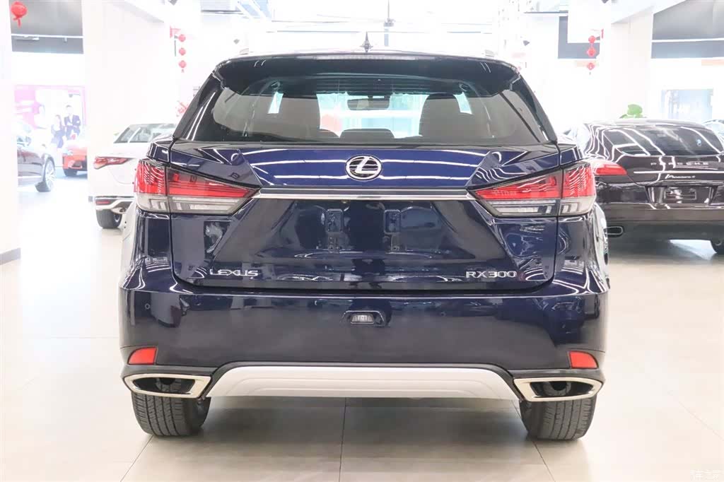 Lexus RX, 2022 4