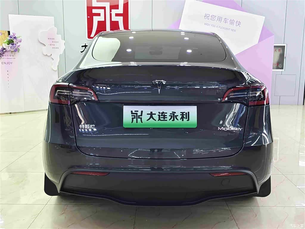 Tesla Model Y, 2025 все фото
