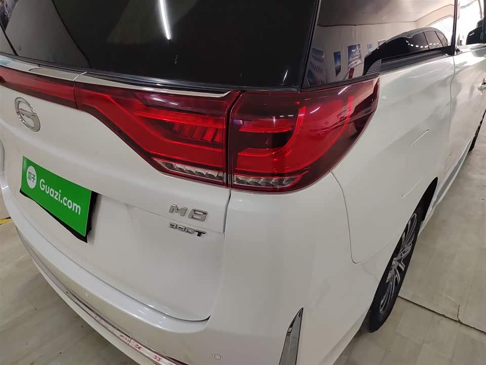 Trumpchi Trumpchi M8