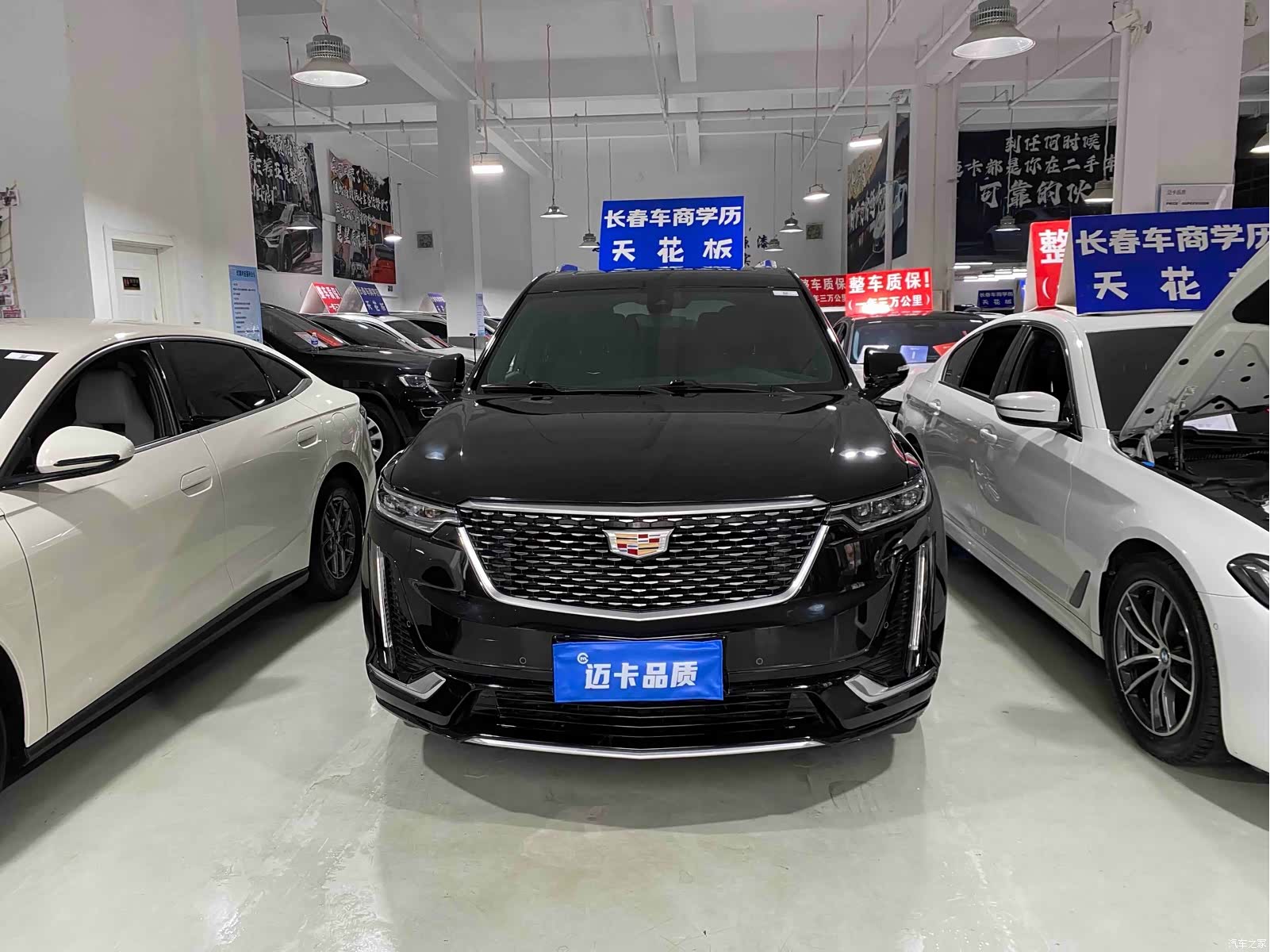 Cadillac XT6, 2022 2