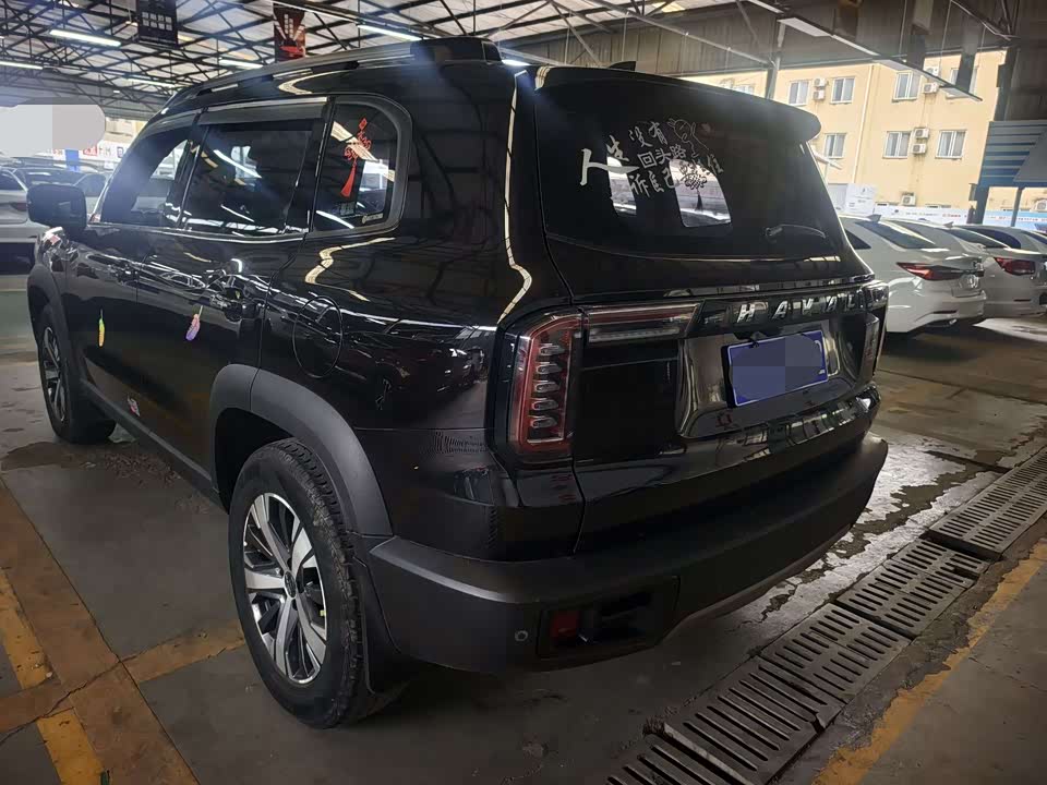 Haval Big dog