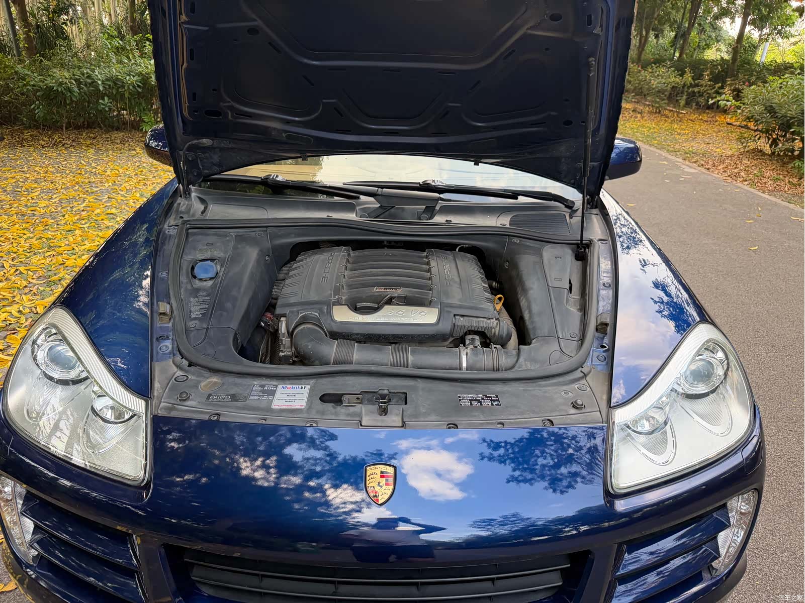 Porsche Cayenne, 2008 24