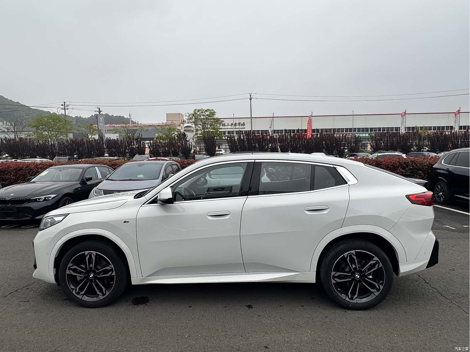 BMW X2, 2025 все фото