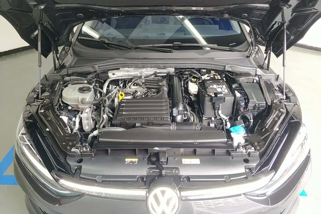 Volkswagen Lamando, 2024 10