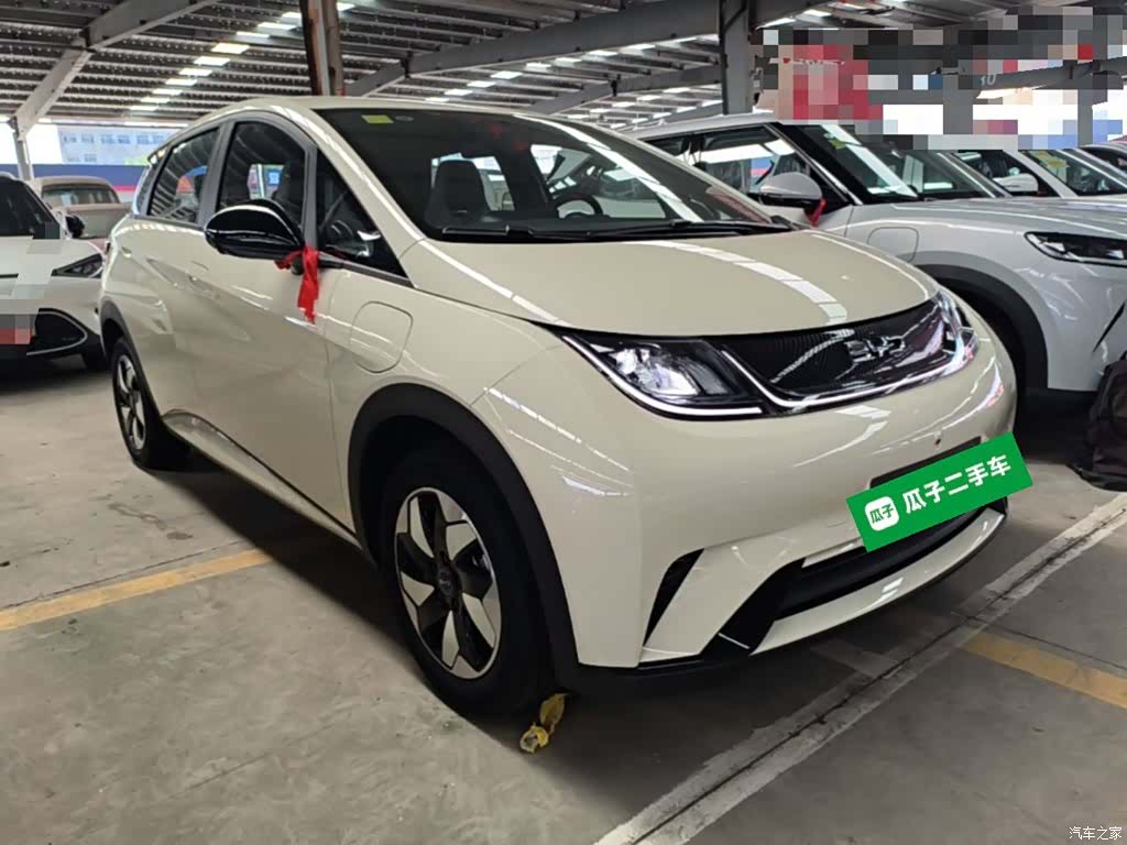 BYD Dolphin, 2026 4