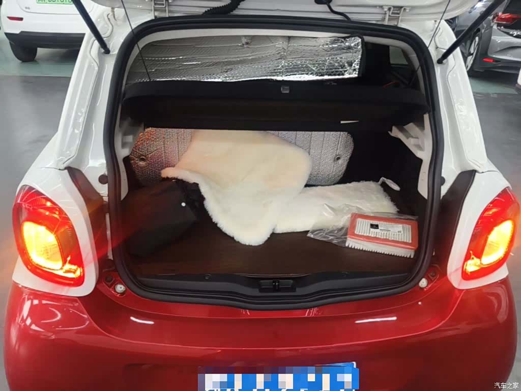 Smart Forfour, 2018 19