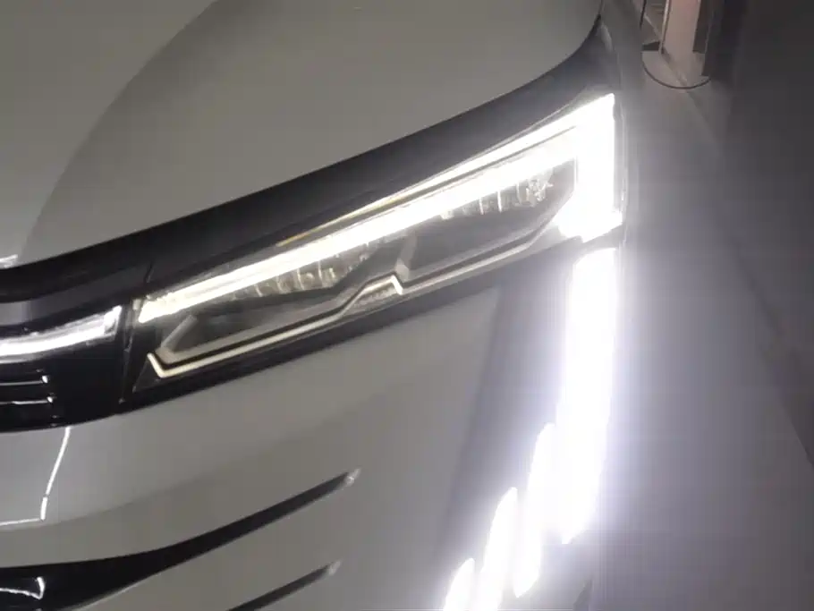 Trumpchi Trumpchi E9