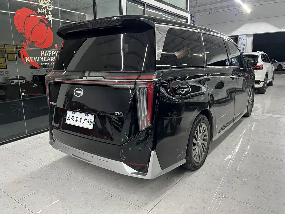 Trumpchi Trumpchi M8