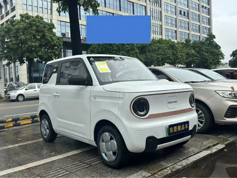 Geely Galaxy panda