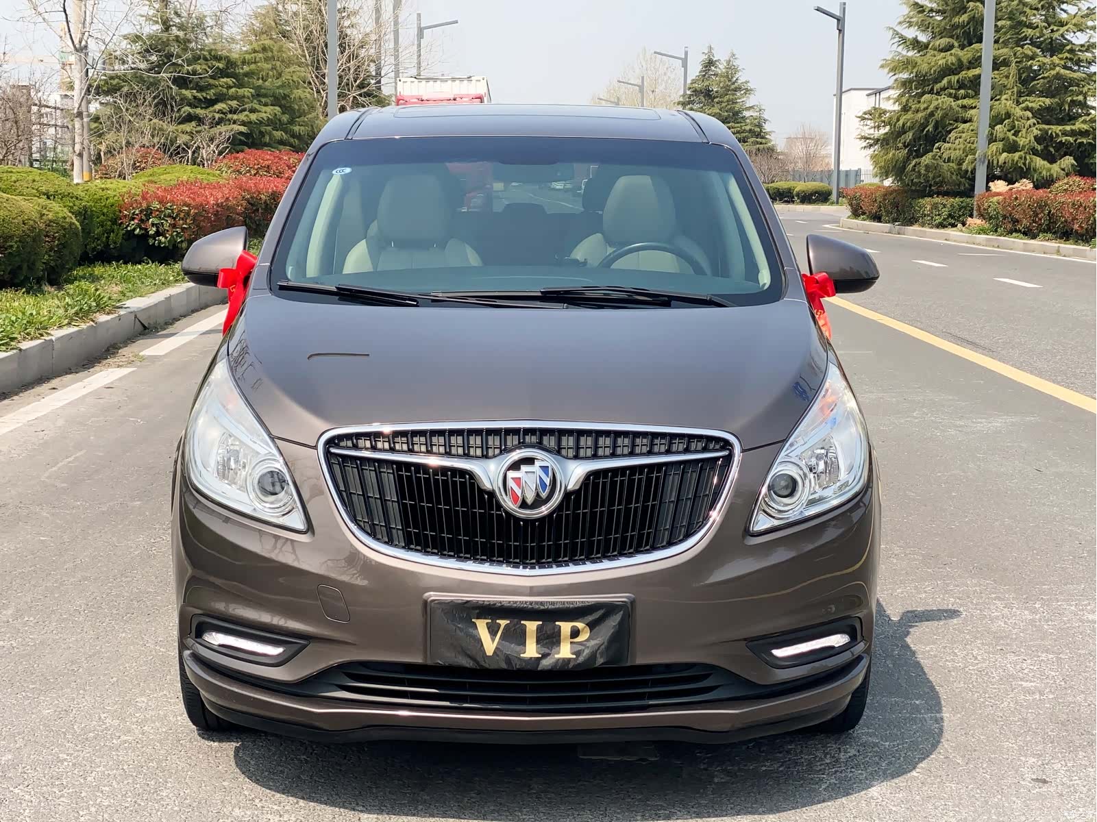 Buick GL8, 2019 2