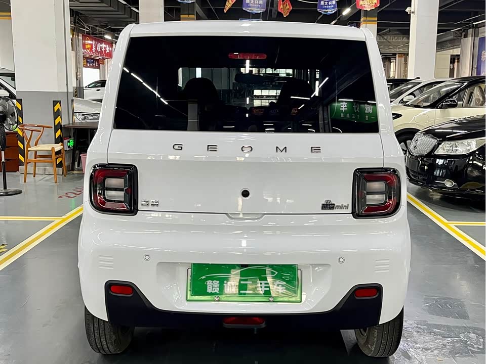 Geely Galaxy panda
