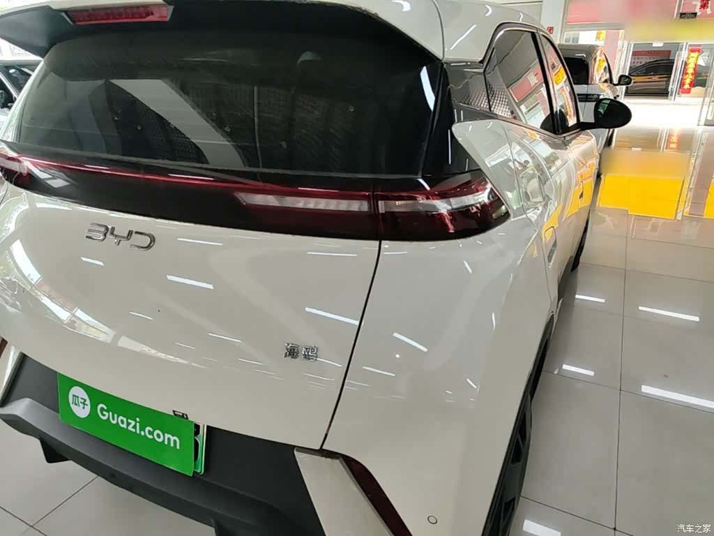 BYD Seagull, 2024 8