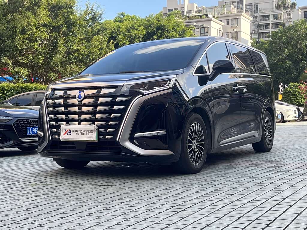 Denza D9