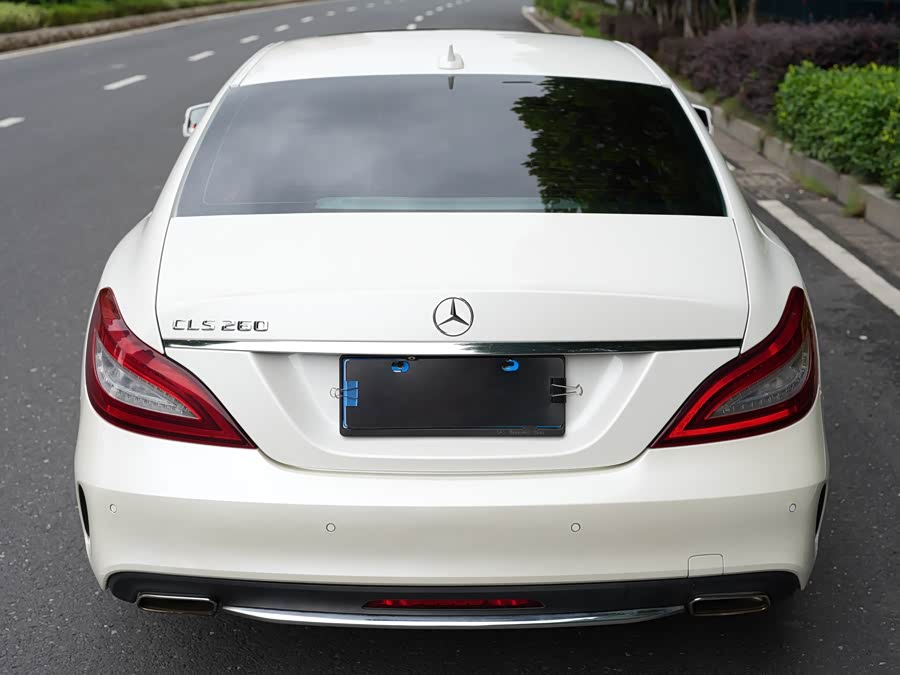 Mercedes-Benz CLS-Class 2015, фото 9