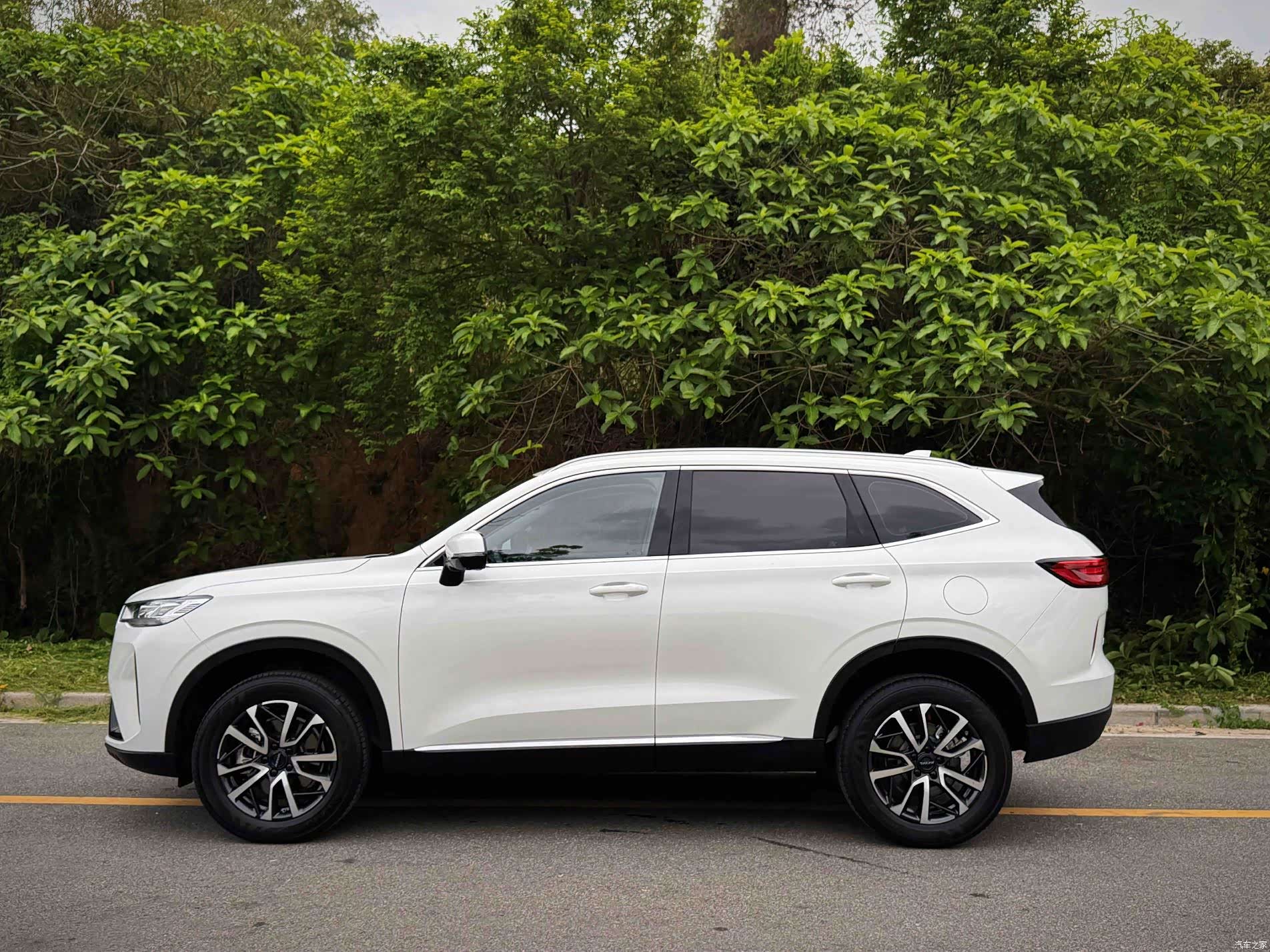 Haval H6, 2025 все фото