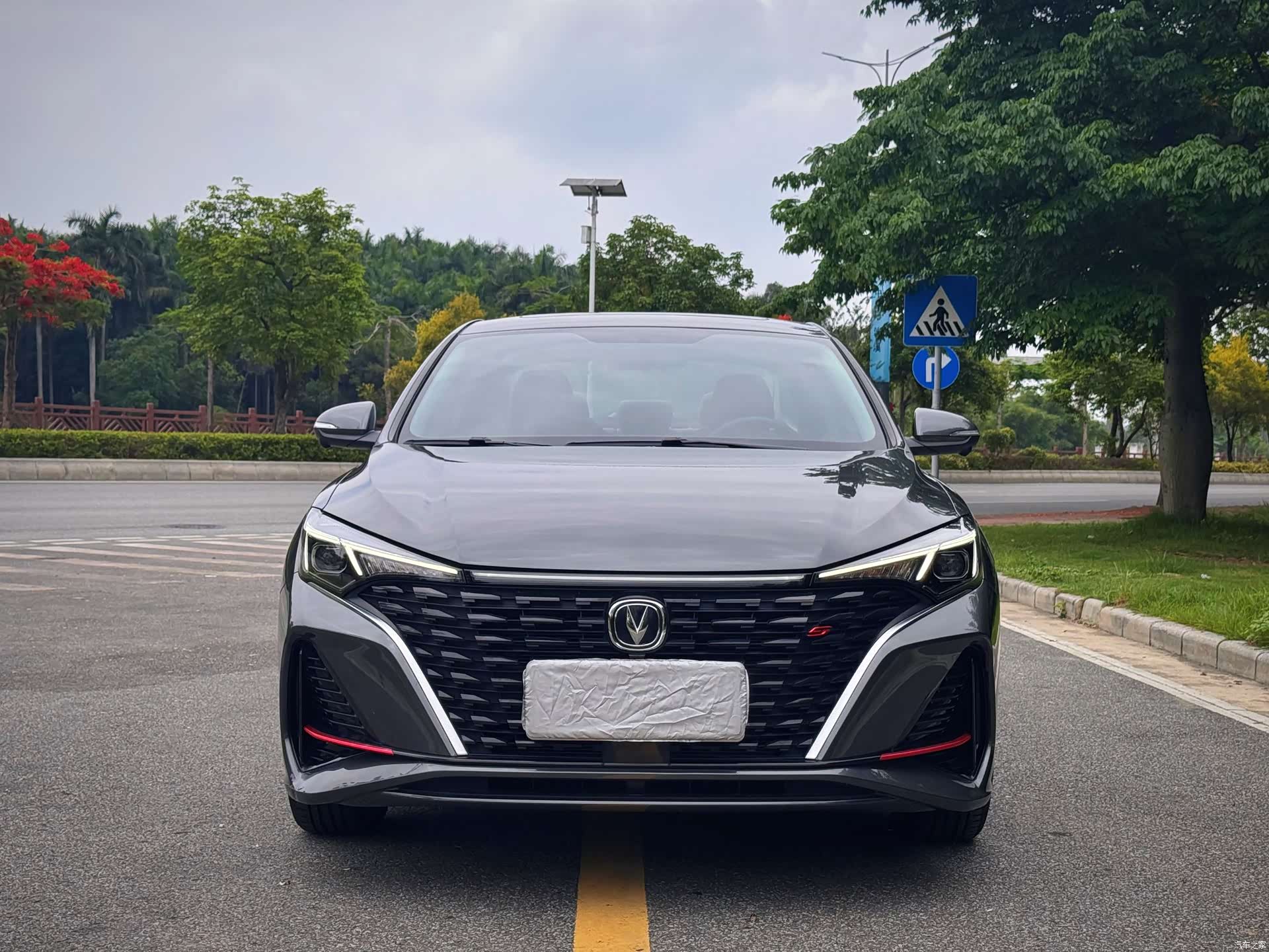 Changan Eado, 2024 2