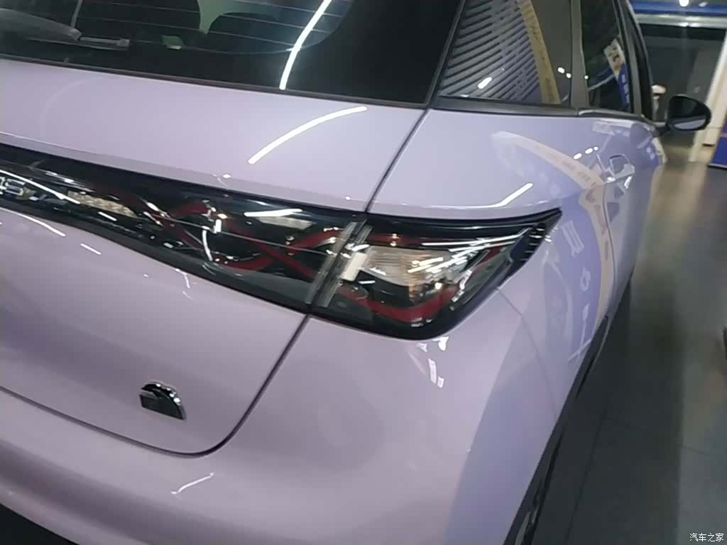 BYD Dolphin, 2024 8