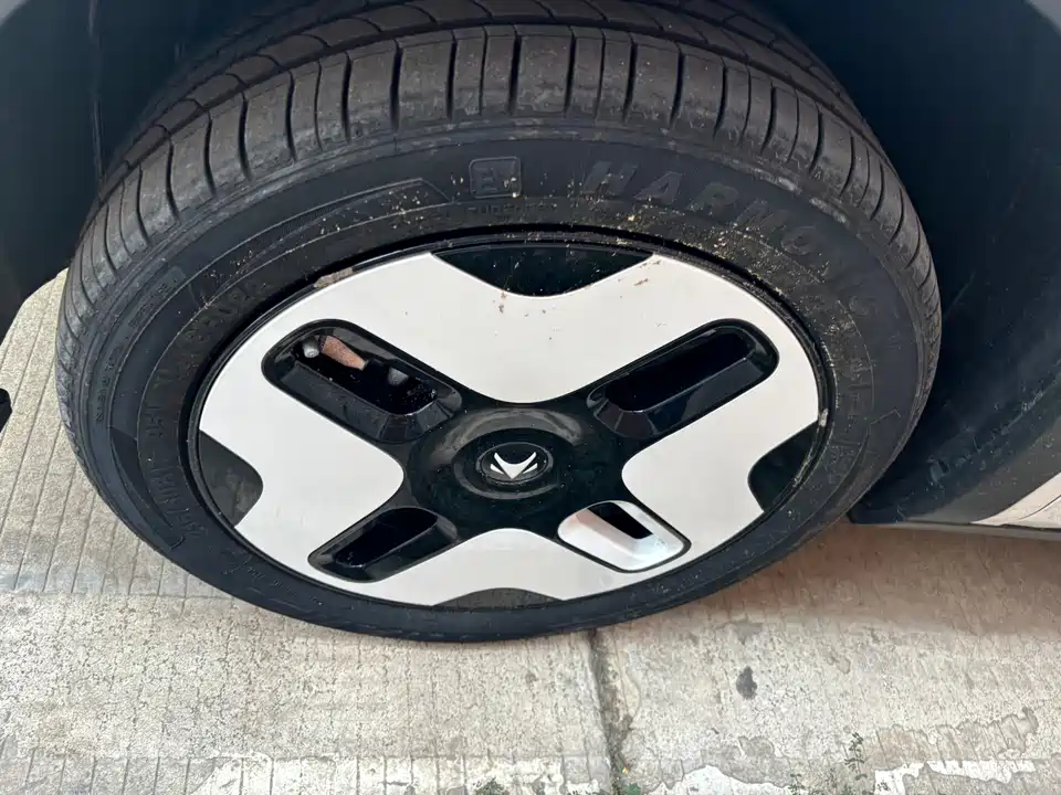 ARCFOX Polar Fox Koala S