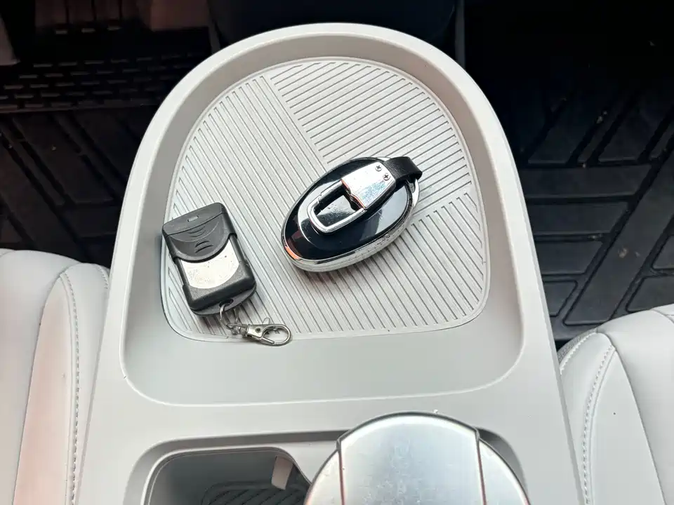 ARCFOX Polar Fox Koala S