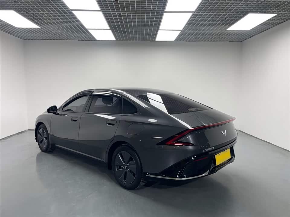 Wuling Wuling Starlight