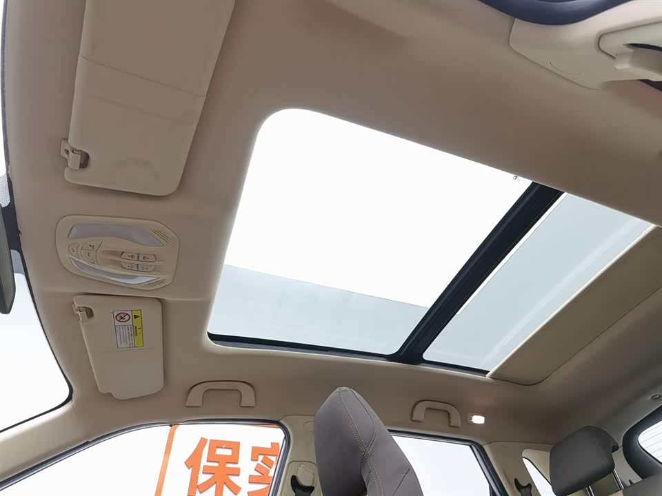 Leopaard Cheetah CS9