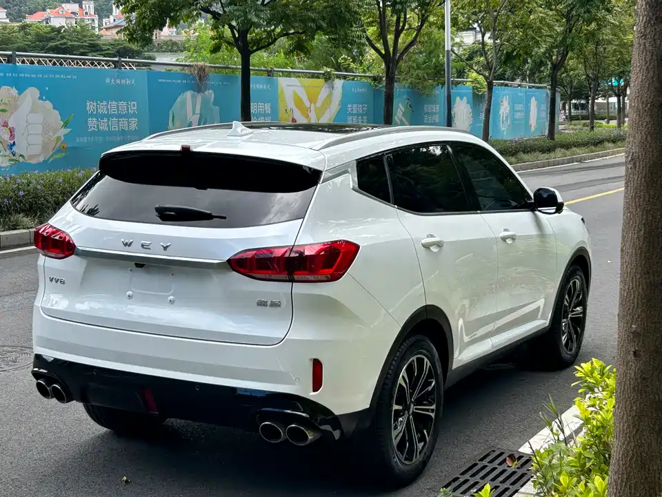 Weipai VV6