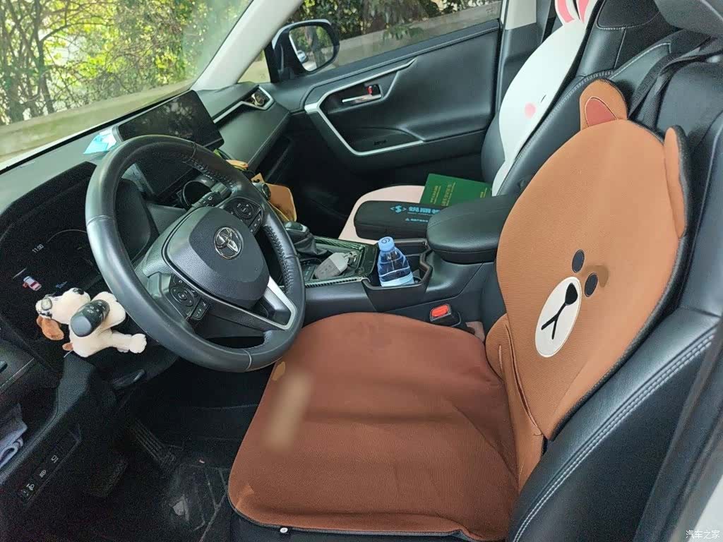 Toyota RAV4, 2021 8