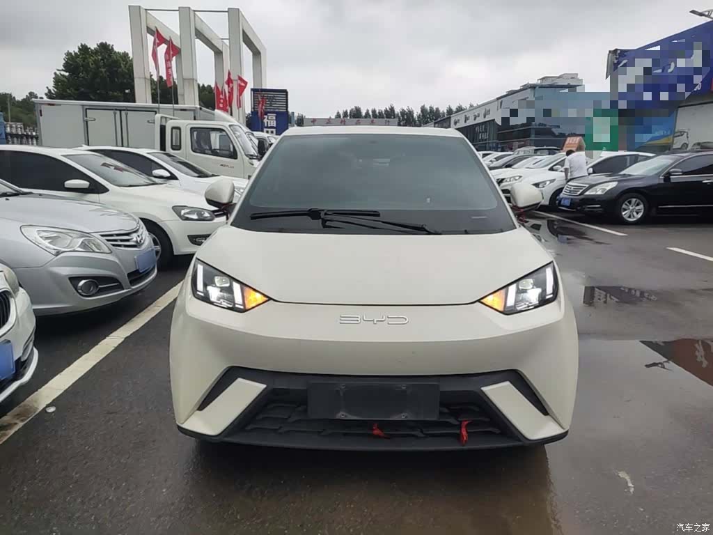 BYD Seagull, 2024 3