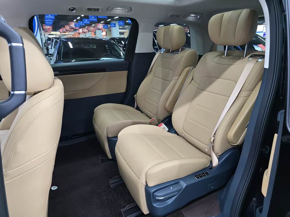 Trumpchi Trumpchi E8