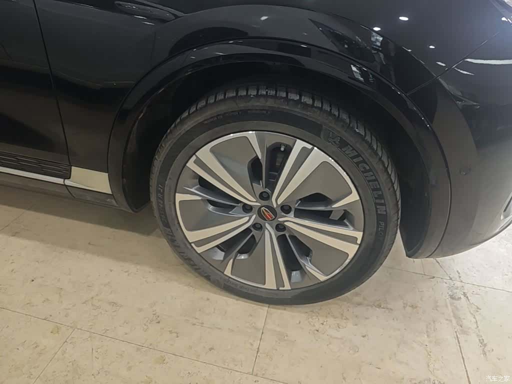Hongqi E-HS9, 2023 23
