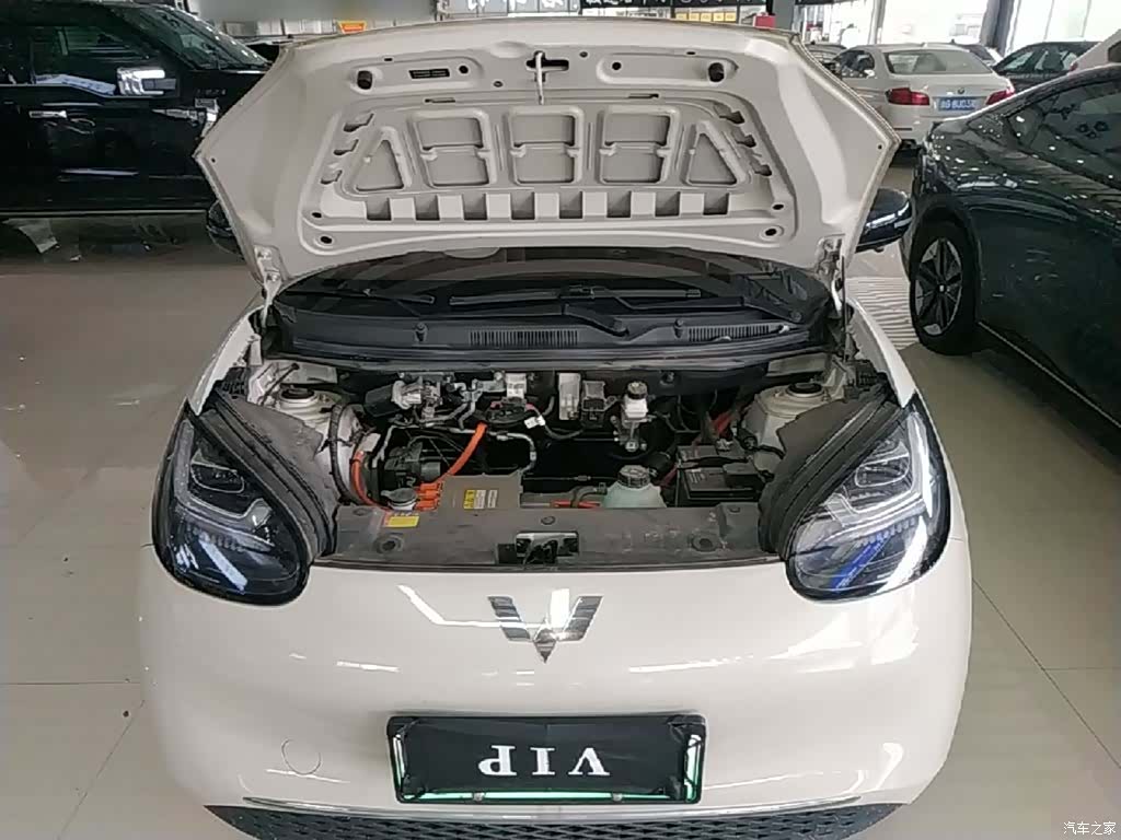 Wuling Bingo, 2024 20