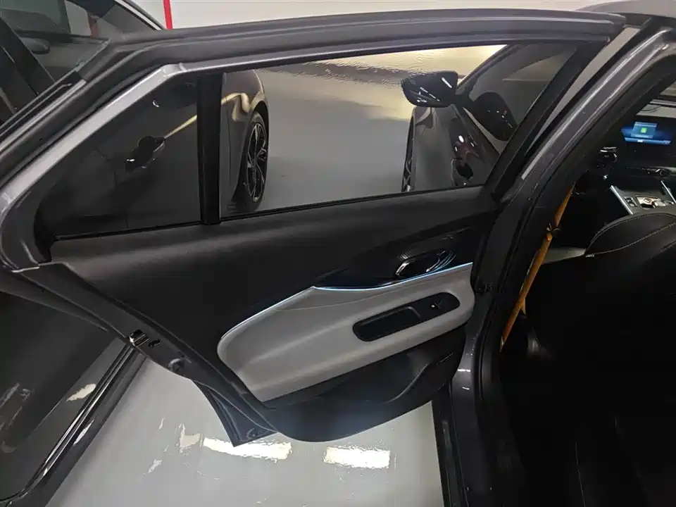 Trumpchi Shadow Leopard