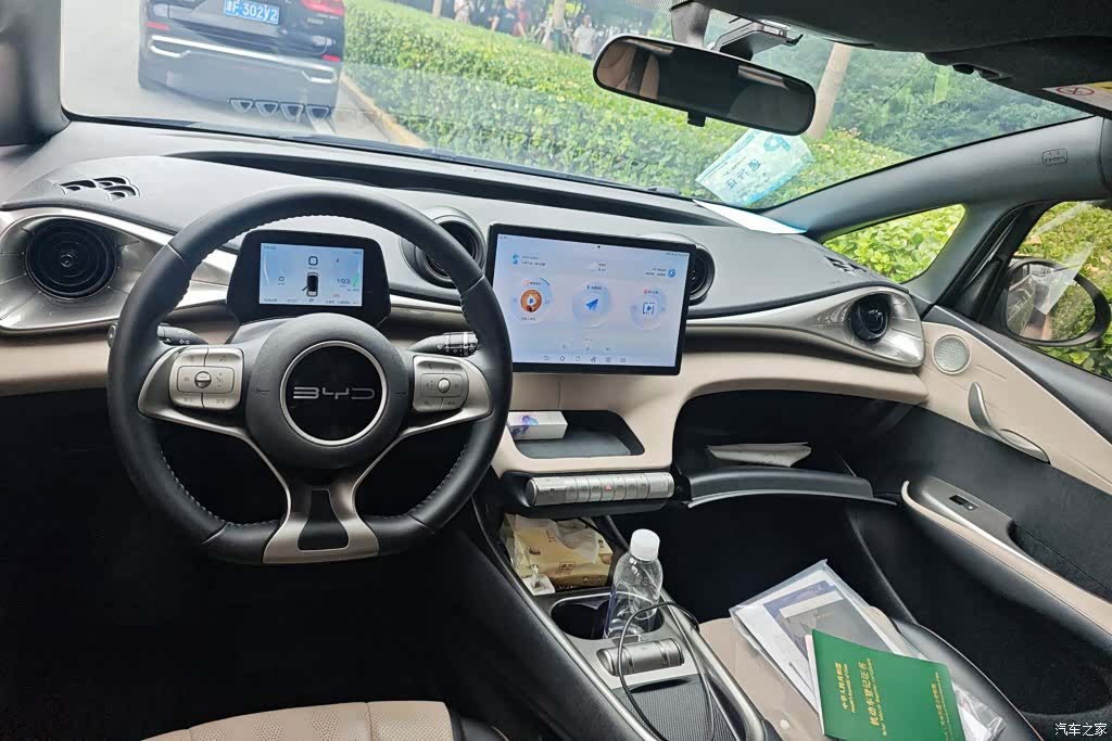 BYD Dolphin, 2024 12