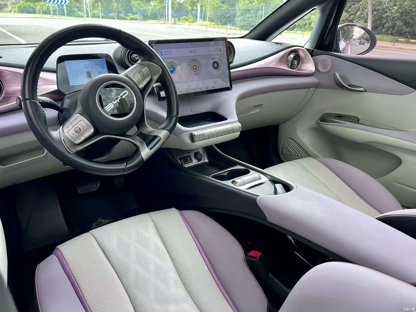 BYD Dolphin, 2023 10