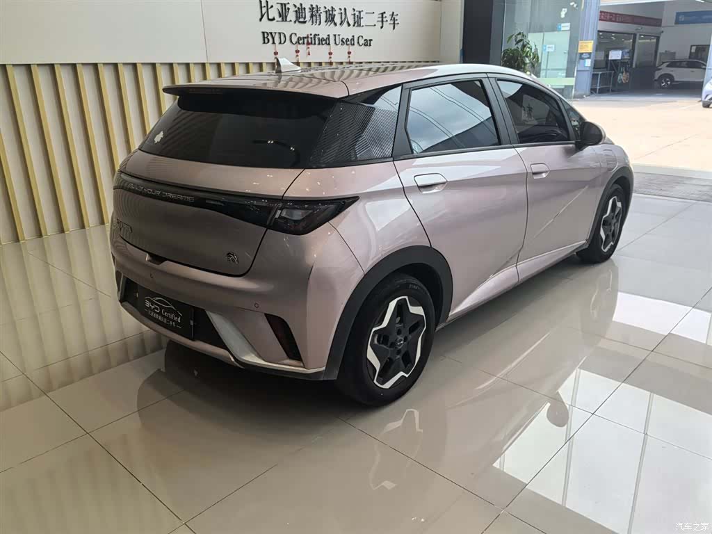 BYD Dolphin, 2022 10