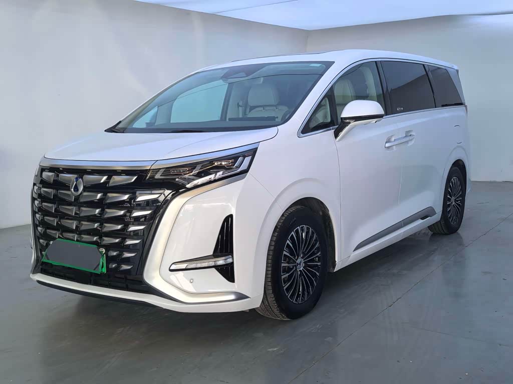 Denza D9