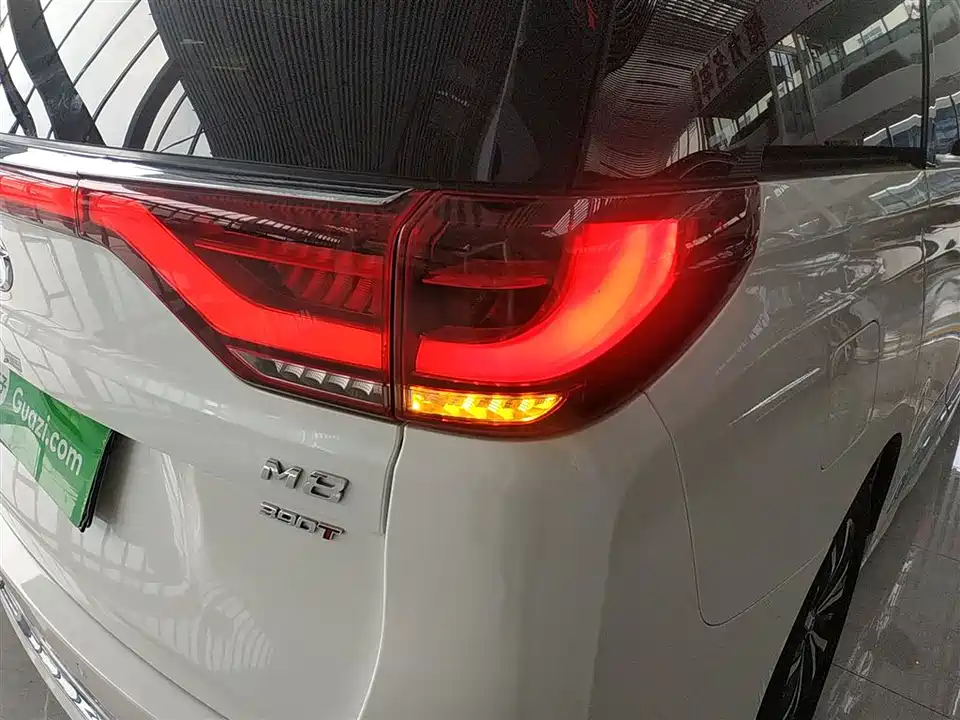 Trumpchi Trumpchi M8